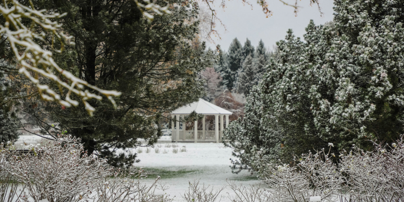Salaspilī pirmo reizi atklās labdarībai veltītu Ziemassvētku sajūtu dārzu “Brīnumu mežs”